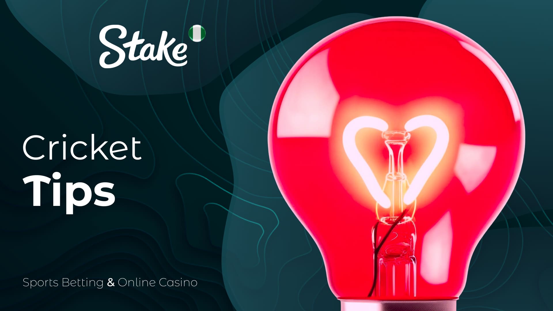 Stake Nigeria Cricket sports betting: basic and expert tips for players on the platform